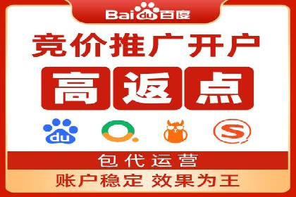 行业领先企业的SEM竞价推广策略揭秘